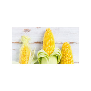 Huile de maïs de qualité supérieure emballage en vrac jaune huile de maïs Nature jaune sans OGM maïs jaune/maïs maïs alimentation animale en gros - Product Image 2