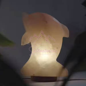 Nouvelle Arrivée du Meilleur Fournisseur Lampe de Sel de l'Himalaya de Haute Qualité en Forme de Dauphin Sculptée au Toucher Réel Style Amour Artisanat Naturel - Product Image 5
