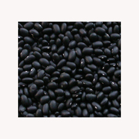 Haricots noirs séchés en vrac du Brésil, 100% naturels, riches en protéines, durée de conservation de 2 ans
