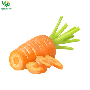 2024 Best Price Organic Frozen <b>Carrots</b> High Quality Vegetable From Vietnam - Product Image 2