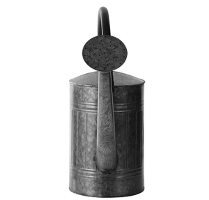 Proveedor de jardín artesanal, regadera de plantas, latas de agua pintadas a mano de Color azul, regadera de Metal para jardín doméstico - Product Image 3