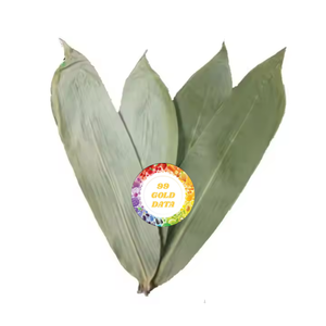 Hojas de bambú secas vietnamitas al mejor precio: las hojas de bambú tienen muchos usos culinarios - Product Image 1