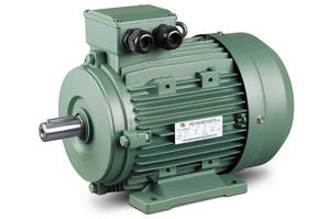 Motor de Inducción Asíncrono Trifásico Serie Y2 y Y3, 380V 50Hz IE2, Impermeable, Cerrado, Velocidad Nominal de 1500 rpm - Product Image 2