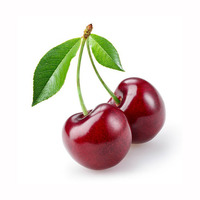 Hoogwaardige natuurlijke verse kersen te koop/ Groothandel verse fruitkersen tegen fabrieks prijs