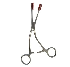Forceps de Collin pour chirurgie buccale, goupillon buccal pour jeunes par SurgiRight Instrument - Product Image 2