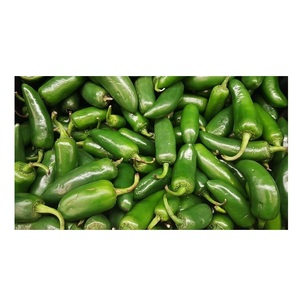 Picante caliente precio al por mayor chile verde fresco - Product Image 6