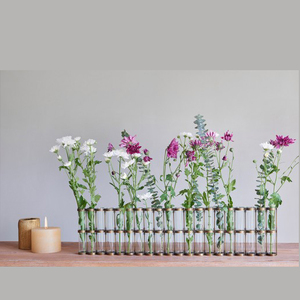 แจกันดอกไม้เหล็กหลอดทดลองแจกันแก้วใสดอกไม้ทรงเรขาคณิตไฮโดรโปนิกส์ - Product Image 5