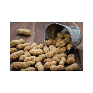 Cacahuetes de piel roja orgánicos de primera calidad al por mayor, cacahuetes secos crudos naturales de la mejor calidad, gran oferta con precio competitivo - Product Image 4