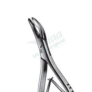 Mini Alicates y Pinzas Friedman, Precio Competitivo, Nuevo Producto en Venta, Fabricante Líder, Mini Rongeur para Huesos Friedman - Product Image 5