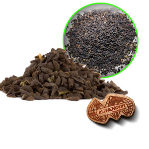 Peganum harmala | Herbe naturelle sauvage | Utilisé dans la guérison spirituelle - Product Image 5