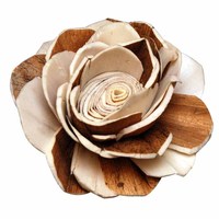Sola bunga kayu reed diffuser, Wangi buatan tangan bunga Sola ramah gema bunga Sola alami ke udara menyegarkan