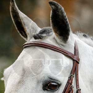 Brida para Caballo de Cuero Suave/Nailon de Alta Calidad Personalizada, Diseño Clásico, Cómoda, con Muserola y Frontal para Cualquier Estilo de Montar - Product Image 2