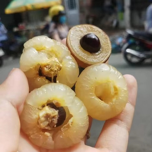 Chou du Vietnam Longan roi de Longan variété fraîche douce épaisse chair qualité d'exportation - Product Image 1