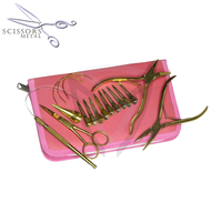 Kit d'outils pour extensions capillaires en acier inoxydable doré plasma, comprenant des ciseaux métalliques, des pinces à micro-anneaux réutilisables et un ensemble de couleurs personnalisables, vente en gros