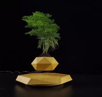 Jarrón de Mesa Flotante con Diseño de Piedra de Madera, Giratorio y Levitante, Desafía la Gravedad |   Maceta para Bonsái Art Deco Única y Preciosa