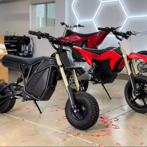 MEJOR OFERTA Electro & Co Rizzler Sport - Product Image 1