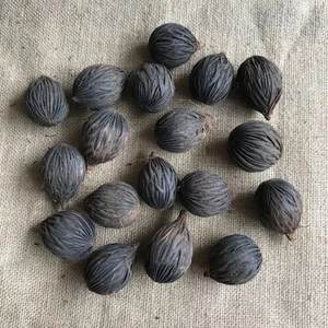 Nueces de Palma orgánicas, nueces de cáscara a granel a precios bajos - Product Image 4