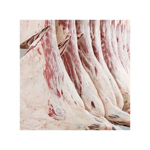Carcasse de porc congelée de HAUTE QUALITÉ PRÊTE POUR L'EXPÉDITION ORIGINE - Product Image 1