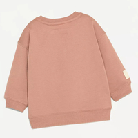 Sweat-shirt en coton biologique pour enfants, pull épais personnalisé, sweat-shirt en molleton écologique pour enfants, vêtements imprimés pour enfants