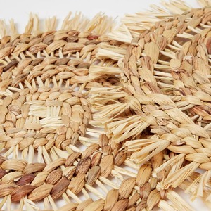 Vietrustic Event Must-Have Party Serving Food And Fruit Plate Juego de manteles individuales de jacinto de agua Manteles individuales decorativos - Product Image 3