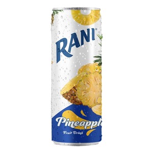 Achetez la boisson fruitée Rani Float-Orange avec de vrais morceaux de fruits, 240 ml, emballée en boîte en vrac, livraison rapide, boissons au thé - Product Image 4