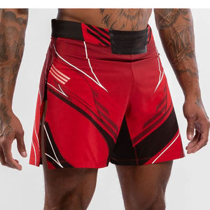 Dernière conception 2025 Vêtements de combat Confortable de haute qualité Bonne vente Service OEM Hommes portent des shorts MMA - Product Image 2