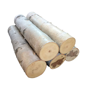 Bûches de bouleau pour l'énergie de la biomasse Types de bois divers, y compris le teck de chêne de pin en motif rond pour les meubles - Product Image 4