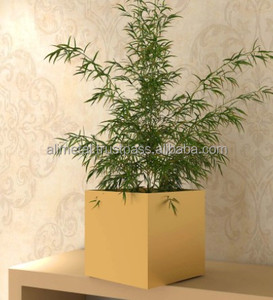 Maceta cuadrada pequeña minimalista de Metal dorado para granja, balcón, jardín, decoración interior y exterior, personalización - Product Image 4