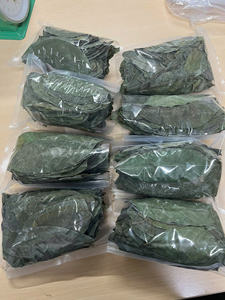 ชาใบฝรั่งอบแห้งพรีเมียมจากเวียดนาม - Product Image 3