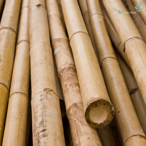 Vente Nouvel An 2025 Poteau de bambou Clôture naturelle pour la construction de haute qualité et bon prix pour une utilisation à l'agriculture - Product Image 4