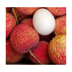 ลิ้นจี่กระป๋องจากผู้จัดจำหน่ายเวียดนามที่ดีพร้อมส่งออก - Product Image 5