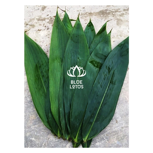 DECORACIÓN DE HOJAS DE BAMBÚ DE ALTA CALIDAD: NATURAL, ECOLÓGICO, TÁCTIL ELEGANTE-LOTO AZUL VIETNAM - Product Image 1