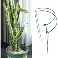 En mars, TG77640 Anneau de support métallique recouvert de plastique, haute performance, accessoires de jardinage simples, piquets pour plantes 35cm 2 pièces