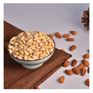 Noix de pin crues séchées de haute qualité Noix de pin turques naturelles, en gros et à prix abordable - Product Image 5