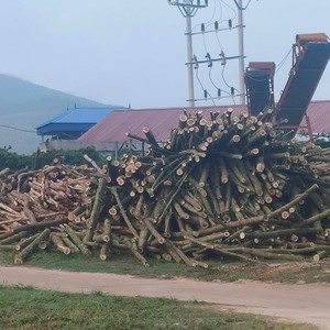 Pilares de madera para construcción de jardines - Product Image 6