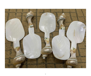 Ensemble de cuillères en coquillage naturel sculpté exquis Cuillère jetable réutilisable collectée dans l'océan - Product Image 1