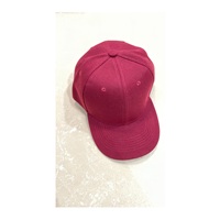 Gorras de béisbol unisex de lona sólida de Algodón 100% con logotipo personalizado de calidad de Primera calidad-Diseños personalizados