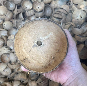 Coquille de noix de coco séchée au soleil pour les usines de charbon de bois et les centrales énergétiques à biomasse - Product Image 2