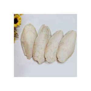 กระดูกปลาหมึกแช่แข็งที่อุดมด้วยแคลเซียมมีประโยชน์ต่อสุขภาพของนก - Product Image 5