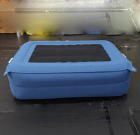 Lit gonflable pliable pour animaux de compagnie, pour chiens et chats, matelas pneumatique portable pour les voyages, le camping, l'hôtel et les parcs
