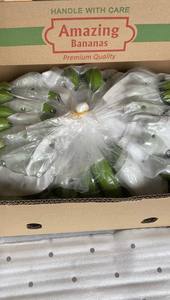 กล้วยเขียวควันดิชสดพรีเมี่ยมของเวียดนามสําหรับขายโลโก้ที่กําหนดเองจากเวียดนามด้วยราคาที่แข่งขันได้สําหรับการส่งออก - Product Image 5