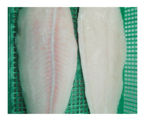 Việt Nam Sản Xuất Tươi Đông Lạnh Kem <span class=keywords><strong>Dory</strong></span> Cá Phi Lê Cá Tra Chứng Nhận Số Lượng Lớn Túi Bao Gồm Khô Nấu Chín Bảo Quản Cá - Product Image 1