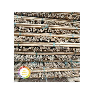 Estacas de bambú duraderas para agricultura y jardinería, postes de bambú ecológicos para soporte de plantas y paisajismo - Product Image 6