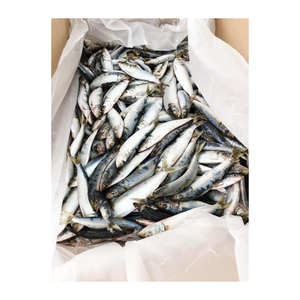 Sardina congelada al por mayor, cajas de cartón de mariscos congelados de primera calidad para los supermercados - Product Image 2