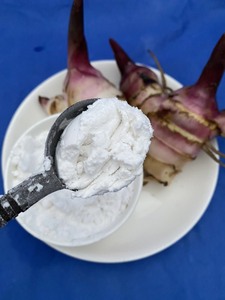 Farine de marante séchée vietnamienne de qualité supérieure, sans gluten, naturelle, de haute qualité, parfaite pour la pâtisserie, cuisine asiatique - Product Image 3