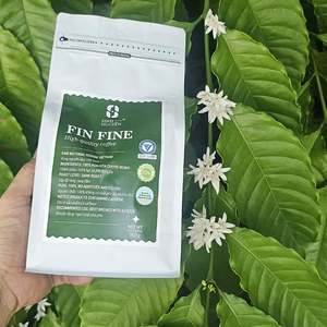 Granos de Café Robusta con Cafeína FIN FINE Premium, Vietnam, Sabor Dulce, Tueste Oscuro, Alta Consistencia, Venta al por Mayor, Suministro OEM, Bolsas - Product Image 1