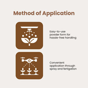 Clasificación de fertilizante de potasio potasa derivada de rodofitas - Product Image 4