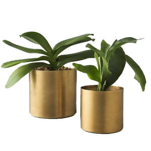 Pots de fleurs en laiton naturel au design moderne Pots de fleurs très exigeants Décoration de maison et de jardin Design uni Pot de fleurs de meilleure qualité - Product Image 1