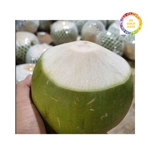 Noix de coco douce naturelle du Vietnam-Pull Tab Hydratation - Product Image 2