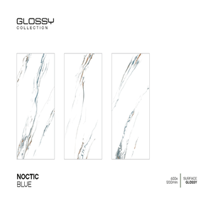 Vente en gros 600x1200mm Carreaux de céramique Design moderne pour usage commercial intérieur et extérieur Meilleures entreprises en Inde - Product Image 1